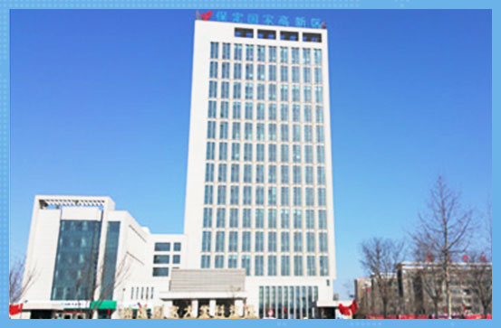 微机二次消谐装置 微机二次消谐装置